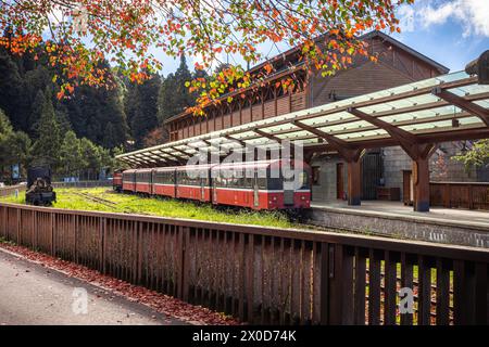 Farbenfrohe japanische Herbstatmosphäre eines Bahnhofs im Alishan Forest Park im zentralen Süden Taiwans. Stockfoto