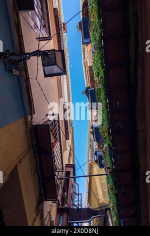 Blick nach oben auf eine sehr enge Straße der Stadt Malaga in Andalusien, Spanien. Stockfoto