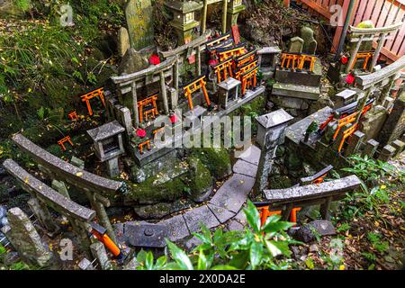 Detaillierte Ansicht der kleinen Torii-Tore am berühmten fushimi inari-Schrein in kyoto, japan Stockfoto