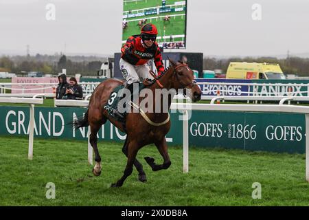 Diva Luna Ridden by Kielan Woods gewinnt den Standard Open NH Flat der Goffs UK Nickel Coin Mares (Klasse 2) während des Randox Grand National 2024 Opening Day auf der Aintree Racecourse, Liverpool, Großbritannien, 11. April 2024 (Foto: Mark Cosgrove/News Images) Stockfoto