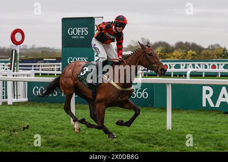 Diva Luna Ridden by Kielan Woods gewinnt den Standard Open NH Flat der Goffs UK Nickel Coin Mares (Klasse 2) während des Randox Grand National 2024 Opening Day auf der Aintree Racecourse, Liverpool, Großbritannien, 11. April 2024 (Foto: Mark Cosgrove/News Images) Stockfoto