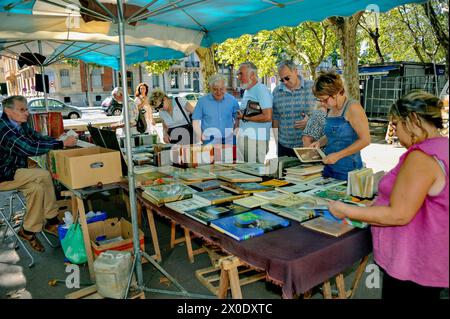 Perpignan, Frankreich, Senior man Working, People Shopping in Outside Antiques Market, Buchstand, Ausstellung, auf Allées Maiilol, Center City Stockfoto