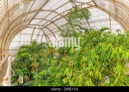 Kew, Richmond, Vereinigtes Königreich; 11. April 2024 – The Palm House ist ein großes Gewächshaus in den Royal Botanic Gardens in Kew in London. Sie wurde 1848 fertiggestellt. Stockfoto