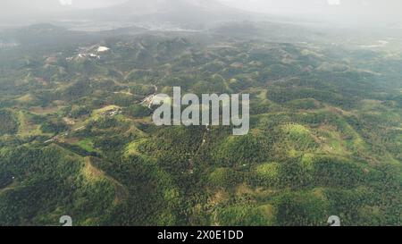 Asien Nebel erhebt sich Gipfel aus der Vogelperspektive: Grüne Hügel nebelige Skyline in Niemand Landschaft in Mayon, Philippinen. Kleine Berge mit Gras, Bäumen, Tälern. Asiatische wilde Natur bei bewölktem Tag. Aufnahmen der Drohne Stockfoto