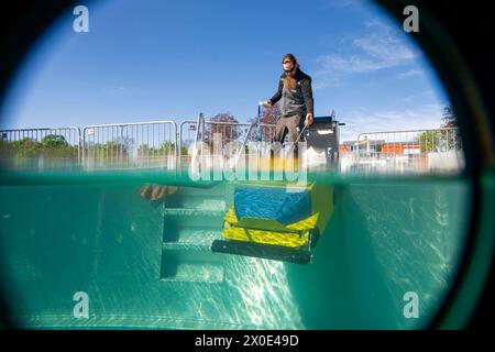 Erfurt, Deutschland. April 2024. Carsten Bienert, der Betriebsleiter der SWE Bäder für das Erfurter Nordbad, reinigt ein Schwimmbad mit einem Unterwasserstaubsauger während der Vorbereitungen für die Saison. Quelle: Jacob Schröter/dpa/Alamy Live News Stockfoto