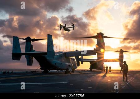 U.S. Marine Corps MV-22B Ospreys, die der Marine Medium Tiltrotor Squadron (VMM) 165 (verstärkt), 15. Marine Expeditionary Unit, Dirigent Deck lan zugewiesen sind Stockfoto