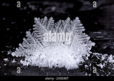 Makro von Raureifkristallen auf Eis entlang des Eagle River im südzentralen Alaska. Stockfoto