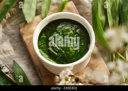 Hausgemachte grüne Pesto-Soße aus frischen BärenKnoblauchblättern - wilde essbare Pflanze, die im Frühjahr gesammelt wird Stockfoto