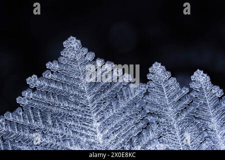 Makro von Raureifkristallen auf Eis entlang des Eagle River im südzentralen Alaska. Stockfoto