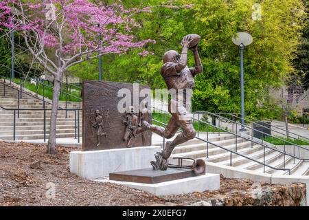 University of California, Berkeley at Sunrise Stockfoto