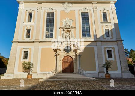 Dom Arlesheim - Nahaufnahme des Eingangs Stockfoto