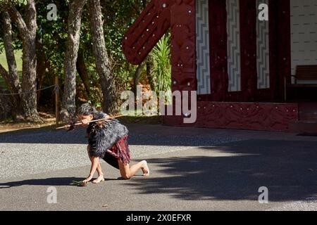 Krieger, der eine Maori-Willkommenszeremonie oder Powhiri vor dem Waitangi Marae-Versammlungshaus vorführt Stockfoto