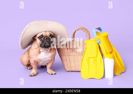 Niedliche französische Bulldogge mit Hut, Flasche Sonnencreme und Flossen und Tasche auf lila Hintergrund Stockfoto