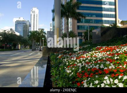 Brickell Avenue Bürotürme und Wohnungen im Finanzviertel in Miami, Florida - USA Stockfoto