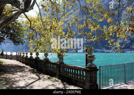 Promenade Terrasse mit Blick auf den Gardasee, Herbstlaub im Vordergrund, Riva del Garda, Italien Stockfoto