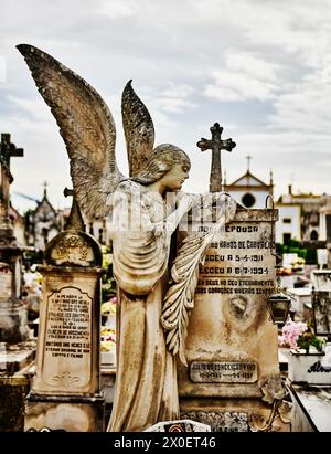 Friedhof in Aviero, Portugal, Europa Stockfoto