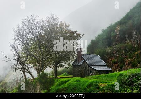 Haus im Nebel des Fanal-Waldes, Madeira, Portugal, Europa Stockfoto