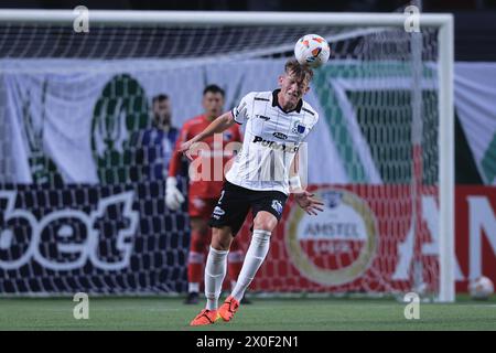 Sao Paulo, Brasilien. April 2024. SP - SAO PAULO - 04/11/2024 - COPA LIBERTADORES 2024, PALMEIRAS (Foto: Ettore Chiereguini/AGIF/SIPA USA) Credit: SIPA USA/Alamy Live News Stockfoto