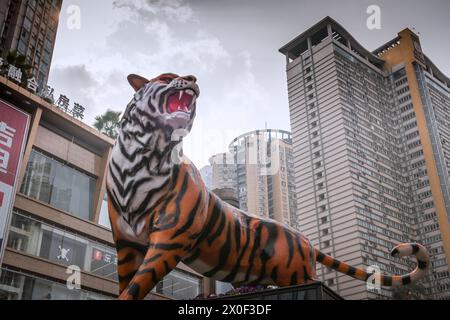 Chongqing, CHINA - 10. Mai 2021 : Tiger in der Jiefangbei Fußgängerzone Chongqing ein berühmtes Einkaufs- und Reiseziel in der Innenstadt i Stockfoto