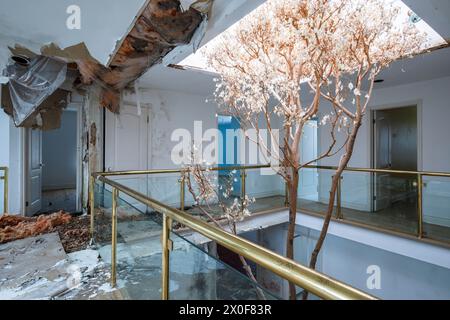 Ein toter Baum, der in einem verlassenen Herrenhaus wächst. Stockfoto