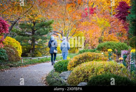 Junge Paare, die im Herbst im Park spazieren; bunte Bäume und Büsche auf beiden Seiten des Fußweges Stockfoto