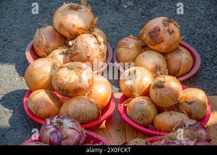 Nahaufnahme von Körben voller Zwiebeln, die auf dem Markt verkauft werden Stockfoto