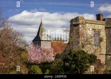 Frühe Frühlingsblüte in Wilmington Priory im Osten Sussex im Südosten Englands Großbritannien Stockfoto