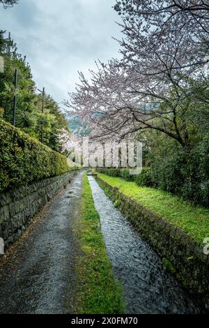 Der Weg des Philosophen in Kyoto Japan Stockfoto