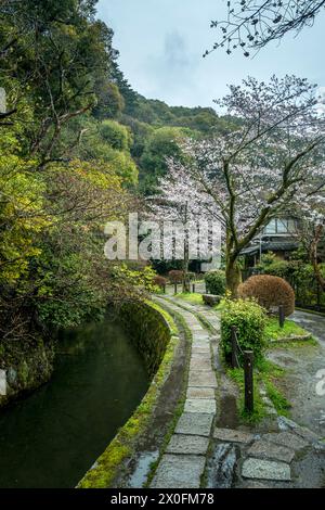 Der Weg des Philosophen in Kyoto Japan Stockfoto