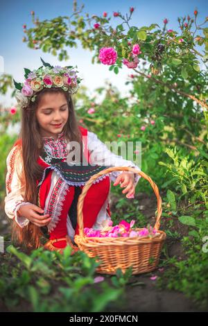 Mädchen in Volkskleidung, das bei Sonnenaufgang ölhaltige Rosen erntet. Bulgarisch Rose Damascena Feld, Roses Tal Kazanlak, Bulgarien Stockfoto