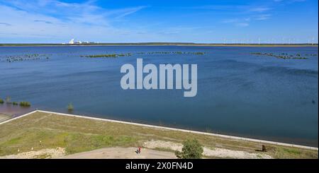 Cottbus, Deutschland. April 2024. Cottbuser Ostsee entsteht im ehemaligen Braunkohlebergwerk Cottbus-Nord (Blick von einem Aussichtsturm). Der 19 Quadratkilometer große See soll zum größten künstlichen Gewässer Deutschlands werden. Die Überschwemmung des ehemaligen Tagebaus Cottbus-Nord begann Mitte April 2019. Die Lausitz Energie Bergbau AG (Leag) lässt Wasser von der Spree über den Hammergraben in das Tagebauloch für die Überschwemmung fließen. Quelle: Patrick Pleul/dpa/Alamy Live News Stockfoto