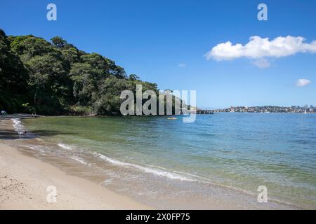 Wittling-Strand am Nordufer des Hafens von Sydney, Mosman, mit Blick über den Hafen von Sydney in Richtung Stadtzentrum von Sydney, NSW, Australien Stockfoto