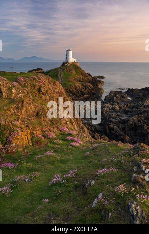 Der majestätische TWR Mawr Leuchtturm bei Sonnenuntergang auf der Insel Ynys Llanddwyn in Anglesey, Nordwales. Stockfoto