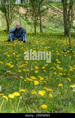 Ein älterer Mann, der schmutzig und niedergeschlagen aussah, saß im Garten, umgeben von Löwenzahn taraxacum, der seinen ländlichen Garten in zala, ungarn, eroberte Stockfoto