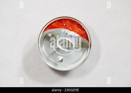 Makrele in Tomatensauce (Dänisch: "Makrel i Tomat"), Dose Stockfoto