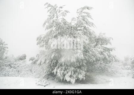 Schneelandschaft vom Zug von Athen nach Kalambaka über Thessalien während des griechischen Winters am 5. Februar 2023. Paysage enneige vu depuis l Stockfoto