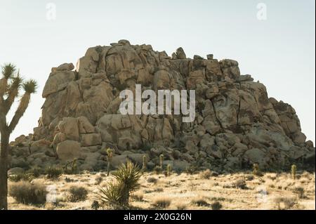 Einzigartige Felsformationen im Joshua Tree in der sonnigen Wüstenlandschaft Stockfoto