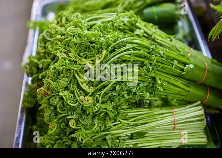 Nahaufnahme von Paco Fern, die am Marktstand verkauft werden soll Stockfoto