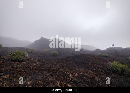 Trockene und dunkle Landschaft mit wenig Vegetation auf einem Vulkan Stockfoto