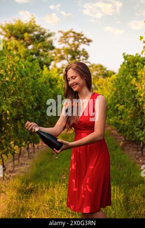 Eine junge Brünette mit rotem Kleid in einem italienischen Weinberg Stockfoto