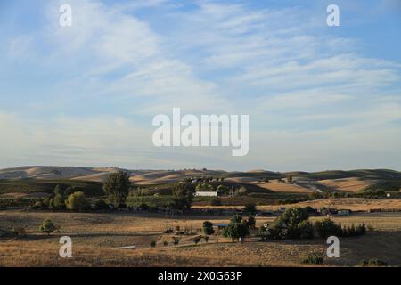 Blick auf Weinberge und sanfte Hügel in Paso Robles Kalifornien Stockfoto