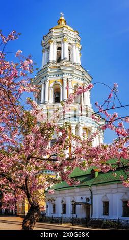 Rosafarbene Sakura blüht vor dem Glockenturm von Kiew Petschersk Lavra Stockfoto