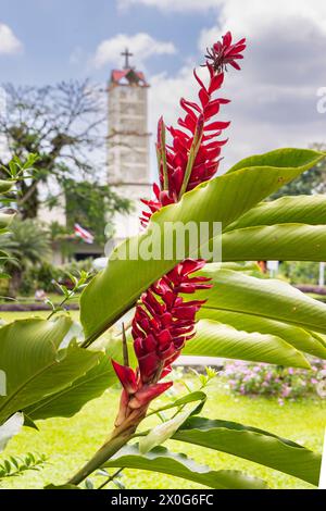 Wunderschöne Blumen im Garten vor der Kirche La Fortuna de San Carlos Park und Blumen in Costa Rica Mittelamerika Stockfoto