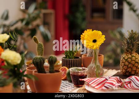 Zwei schöne gelbe Gerberas in Vase, die zwischen Blumentöpfen mit einheimischen Blumen, frischem Obst, einem Glas Tequila und anderem Zeug stehen Stockfoto