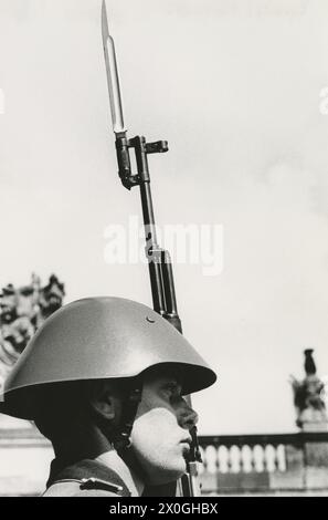 "Wachsoldat der Nationalen Volksarmee mit Gewehr und Bajonett und Stahlhelm vor der "Neuen Garde", unter den Linden, im Hintergrund die Dachfiguren des Waffenarztes. [Automatisierte Übersetzung]“ Stockfoto