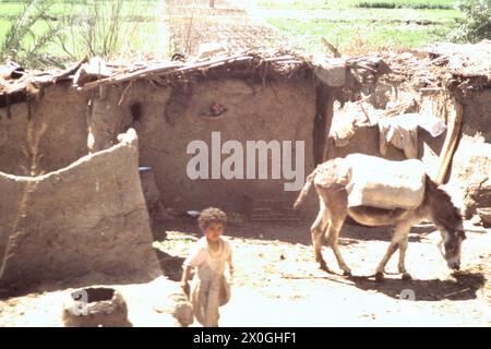 Ein Junge steht neben einem Esel in einem Fellacher Dorf im Niltal bei Sakkara. [Automatisierte Übersetzung] Stockfoto