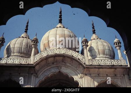 Die Moschee Moti Masjid (auch Perlmoschee genannt) mit drei weißen Marmorkuppeln, die ursprünglich mit vergoldetem Kupfer bedeckt waren, in Delhi. [Automatisierte Übersetzung] Stockfoto