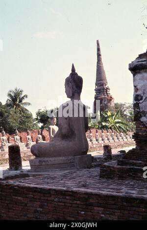 Aufgereiht sitzende Buddhastatuen auf der Nordseite von Nebenchedi in Ayuthya. [Automatisierte Übersetzung] Stockfoto