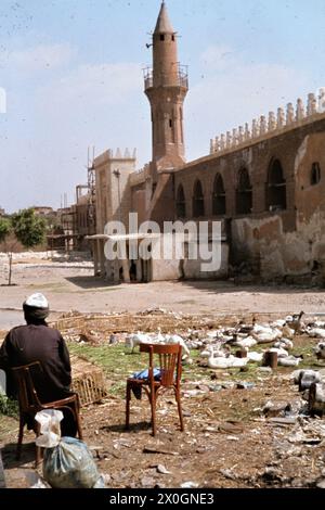 Ein Mann verkauft Gänse vor dem Minarett der Amr-Moschee in Altkairo. [Automatisierte Übersetzung] Stockfoto