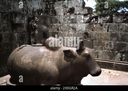 Die Statue eines Nandi-Bullen in der Prambanan-Tempelanlage in der Nähe von Johjakarta. [Automatisierte Übersetzung] Stockfoto